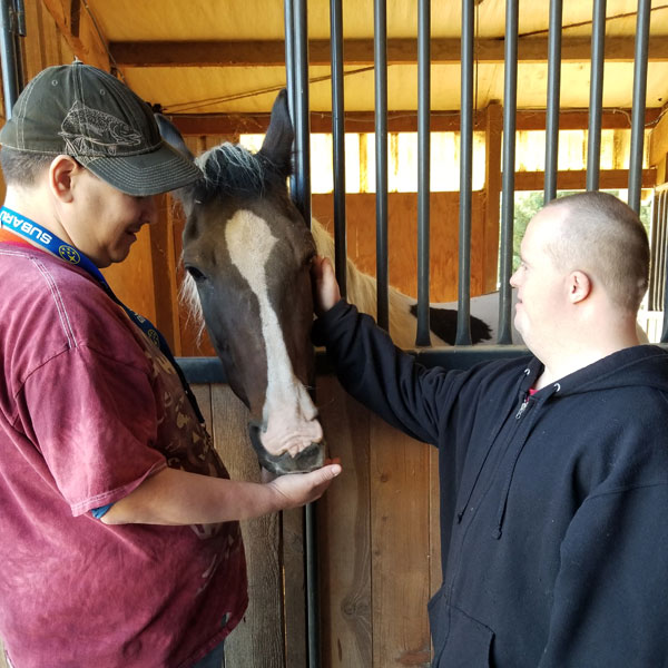 visiting a farm