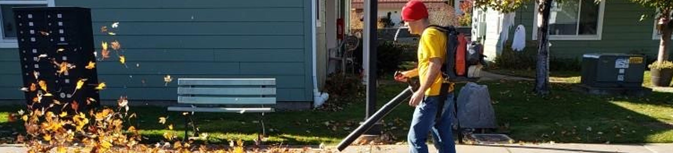 janitorial and landscaping main image